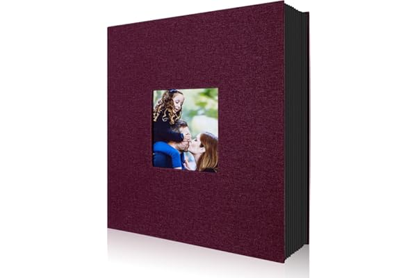 Lanpn Album Photo 10x15 400 Pochette, Lin Tissu Album pour Vertical Photos Violet