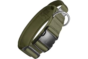 OneTigris Obroża dla psa z metalową klamrą dla psa Ranger zielona