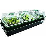 Bio Green Hollandia Anzuchtstation mit Kapillarmatte und Wassertank 1,4l , L : 54cm, B: 17cm, H: 21cm - 12,5 W