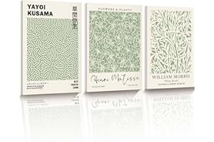 HesenDot Matisse Sage Green Framed Wall Art,William Morris Canvas Wall Decor 30x40CM Plants Botanical Poster Prints,Minimalist Classic Home Decor for Living Room Bedroom Bathroom Office,Set of 3