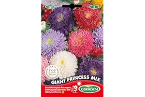 Germisem Giant Princess Mix Semillas de Aster Chino 1 g, EC1528