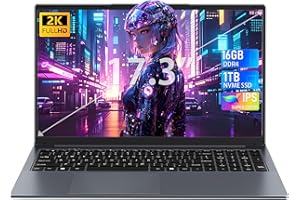 Rumtuk 17,3 Zoll Laptop, N150(Beat N100 N97 N5095) bis zu 3,6 GHz,16GB DDR4 RAM,1TB NVMe SSD, FHD IPS Display,Lange Akkulaufzeit, Beleuchtete Tastatur,Ziffernblock,Webcam,USB 3.0/Type-C/HDMI, Grau