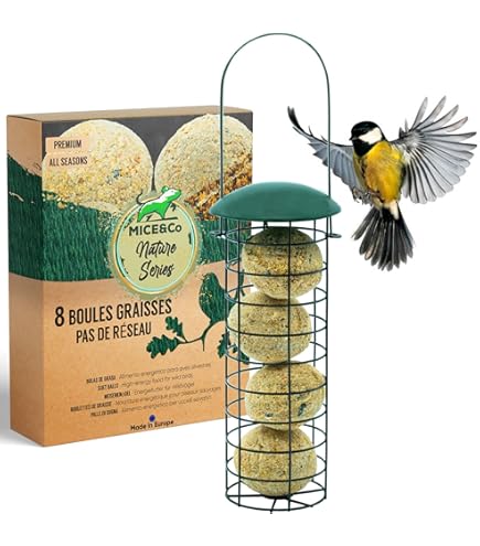 Nourriture Oiseaux Exterieur 6 Mangeoires Oiseaux Métal Suspendues - Porte- Boules De Graisse Avec Crochets Nourriture Oiseaux Sauvages Jardin