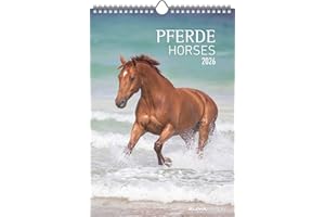 ‎ALPHA EDITION Alpha Edition - Pferde Kalender 2026 – Wandkalender & Bildkalender 24×34 cm mit 12 hochwertigen Pferdebildern, 4-sprachigem Kalendarium, Geschenkidee & Deko für Pferdeliebhaber, Reiter & Stall: Horses
