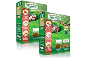 EUROPA GREEN Gazon Express Professionnel - Fiable, résistant froid et chaleur - Germination ultra rapide et dense (10 jours) - Tout type de climat (2 boîtes 100M²)