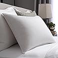 Pacific Coast Feather Touch of Down Queen Size 2-Pillow Set with 2 Queen Size Pillowtex Pillow Protectors