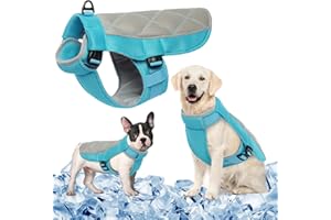 MHaustlie Chaleco Refrigerante para Perro, Chaleco de Enfriamiento para Perros, Haquetas de Enfriamiento de Perros de Malla, Chaqueta Refrescante para Perro con Arnés y Anillo en D (XS,Azul)