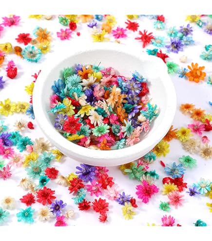 135 stuks witte gedroogde geperste bloemen met vlinderstickers