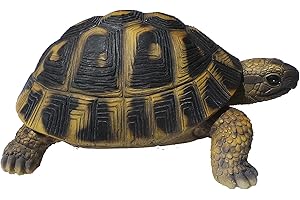 Vivid Arts Hermann Schildkröte (Größe F)