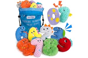 teytoy Texture Sensory Bean Bags Toys for Autism, 10 Fidget Sensory Number Toys with Storage Bag, Develop Fine Motor & Sensory Play for Baby Boys Girls Special Needs Developmental Toys