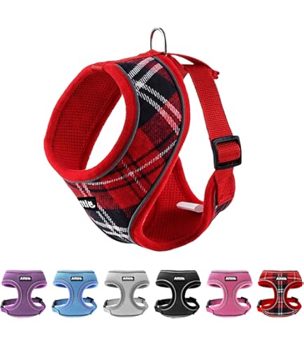 Puppia Kersttuigje, zacht hondentuigje voor Kerstmis, tuigje voor kleine en middelgrote honden, rood, Puppia PAQD-AC1470, knipperend harnas A, harnas, M, rood m Puppia Kersttuigje, zacht hondentuigje voor Kerstmis, tuigje voor kleine en middelgrote honden, rood, Puppia PAQD-AC1470, knipperend harnas A, harnas, M, rood m