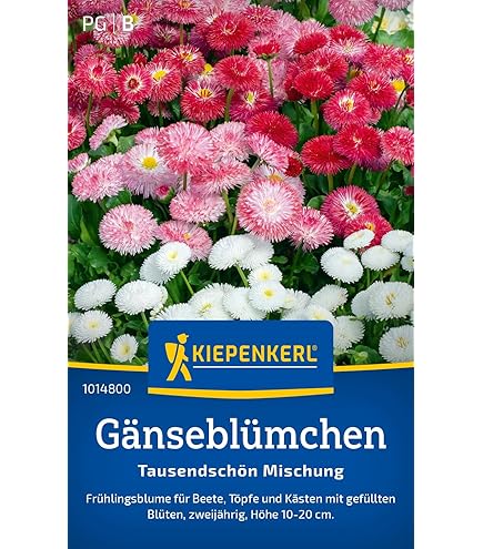10.000 Gänseblümchen-Samen (Bellis Perennis) – Bienenweide, Essbar, Einfach Anzubauen