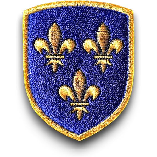 Ecusson Patche Médiéval Lion Des Flandres Noir Et Rouge Grande Taille - Foto 9