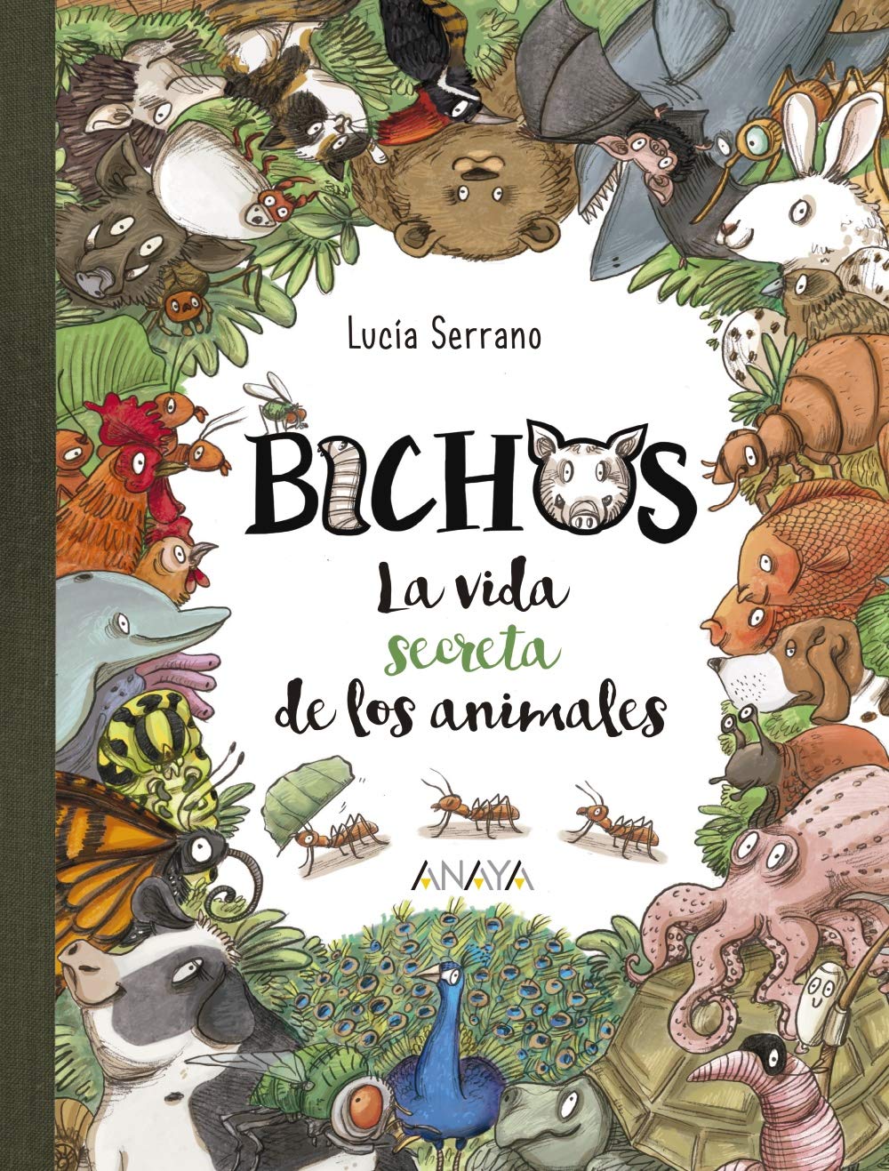 Bichos: La vida secreta de los animales - Libros-Regalo)
