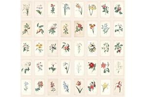 Bear and Bee 40 Vintage Postkarten mit alten Fotos und Zeichnungen (Vintage Blumen)