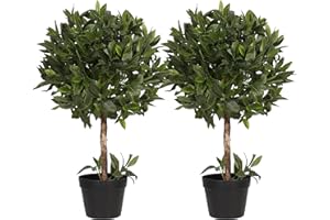 Blooming Artificial - Artificial Bay Laurel Small Bush Topiary (2)
