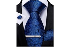 DiBanGu Men's Necktie Handkerchief Silk Paisley Floral Tie Pocket Square Cufflinks Tie Clip Set