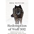 The Redemption of Wolf 302: From Renegade to Yellowstone Alpha Male