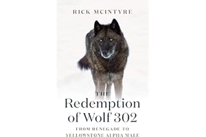 The Redemption of Wolf 302: From Renegade to Yellowstone Alpha Male: 3 (The Alpha Wolves of Yellowstone Series)