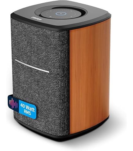 Tivoli Art Orb Noir | Enceintes WiFi sur