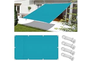 FLYSOUL Toldo Vela de Sombra Rectangular Impermeable 1x3M Toldos Exterior Terraza Protección Rayos UV Resistente al Desgarro para Terraza Balcon Patio Exteriores Jardín con Ojales y Cuerdas de Fijación