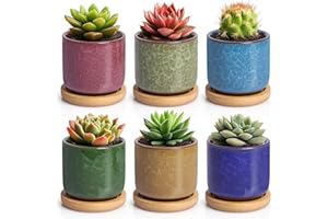 ‎T4U T4U 6.3cm Keramik Sukkulenten Töpfe Kaktus Pflanze Töpfe Mini Blumentöpfe EIS Crack Höher Serie 6 Farben Set mit Untersetzer