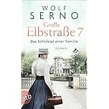 Große Elbstraße 7 - Das Schicksal einer Familie: Roman (Geschichte einer Hamburger Arztfamilie, Band 1)