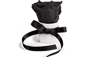 ‎ROSEMARIE SCHULZ HEIDELBERG ROSEMARIE SCHULZ Heidelberg Kleine Rosenbox weiß rund Infinity Rose - Blumenbox 1 konservierte Rose (Weiß-Schwarz)