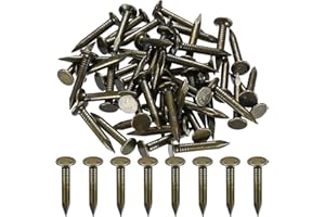 HMKESOTERIC 100 Pz Chiodi per Tetto, Chiodi per Coperture Zincati 30mm, Chiodi in Feltro per Capannoni di Legno, Chiodi in Feltro per Tetti, Chiodi a Testa Extra per Legno Capannoni Mobili Costruzioni Taglia