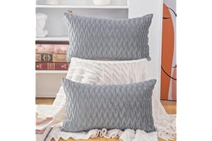 Madizz 2 Pezzi Federe in Velluto Copricuscini Morbido Decorativo Fodere per Cuscino Lusso Stile per Divano Camera da Letto Grigio Chiaro Rettangolare 30x50 cm