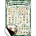 VEGAN Nutrition Sources Chart Magnet a4 size- Minerals Proteins Carbs Fats Iron Magnesium Calcium Potassium Water Resistant Kitchen Guide Magnet
