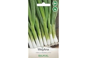 WegAna Bajkal Semillas de Cebolla 2g Cebolla Vegetal, Cebolla Verde Larga, Planta Vegetal Perenne, Semillas de Hortalizas Robustas, Semillas de Hortalizas, Semillas de Cultivo
