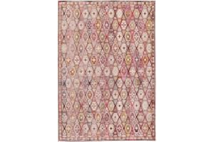 RugVista Nenax, Outdoor Tapis, à Poils Courts, Rectangulaire, 200 x 300 cm, Tapis d'extérieur, résistant aux UV, résistant à l'eau, Idéal pour Balcon, Cour, Jardin et terrasse, Rouge/Rose