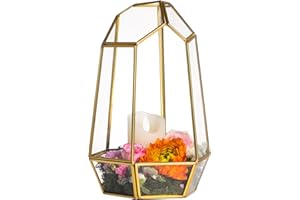 NCYP Terrarium en Verre géométrique doré de 25 cm, Fait à la Main, Pot de Fleurs décoratif irrégulier pour Plantes Grasses, Centre de Table Moderne pour Mariage, Maison, Jardin, Cadeau de Bricolage