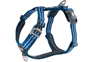 DOG Copenhagen Comfort Walk Air Harnais (v2), Ocean Blue (Bleu), Taille M