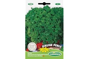 Germisem graines Persil frisé résistant au froid GRUNE PERLE