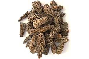 PILZESPEZIALHAUS-BERLIN Spitzmorcheln conica spezial, ohne Stiele, 1A Ware, getrocknet 50 g