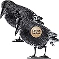KADAX Black Raven, Pigeon Repellent and Pigeon Deterrent Made of Plastic, Bird Repellent, Natural Pest Control, Protection from Annoying Birds