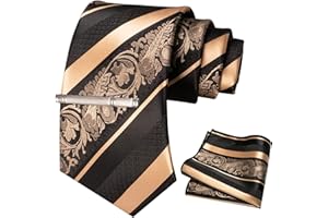 JEMYGINS Ensemble de cravates pour Hommes avec Motif de Roses et de Rayures Mélangées comprenant une Épingle à Cravate et un Mouchoir