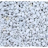 Marmorkies Carrara Weiss 25/40 mm (25 kg Sack)