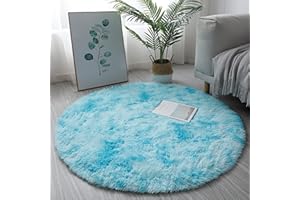 KAYBTNT Round Rug, Fluffy Shaggy Aesthetic Circle Rug, Plush Washable Non-Slip Soft Area Circular Fuzzy Rugs, Cute Carpet for Kids Baby Nursery Girls Living Room Bedroom Home,Sky Blue,80cm/32inch