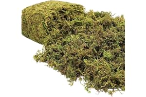 Riare 600g Artificial Fake Moss for Plant- Premium Artificial Moss Fake Green Moos for Potted Plants Faux Green Moos for Centerpieces Home Kitchen Garden Terrariums Decor Christmas Decorative