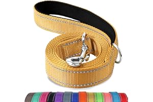 Joytale Correa para Perro Reflectante de Doble Cara, Correa para Perros con Mango Acolchado, Correa de Adiestramiento para Perros Grandes y Medianos, 180×2.5cm, Marrón