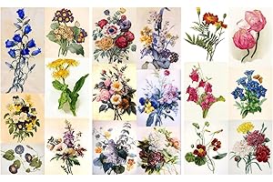 Decoupage Paper Pack (12 Sheets A4 / 8"x11") Flowers Redoute Wildflowers FLONZ Vintage Ephemera