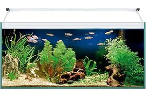 Piumer - Acuario de Cristal - 76 litros - con Accesorios - Modelo Kali80