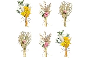 SZSMW Confezione da 6 Fiori Essiccati - Bouquet Fiori Secchi - Fiori Secchi Decorativi Piccoli - Adatto per La Decorazione Della Casa,del Giardino,Delle Feste,Non Facile da Sbiadire
