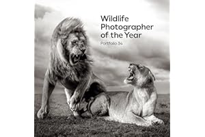 Wildlife Photographer of the Year: Portfolio 34