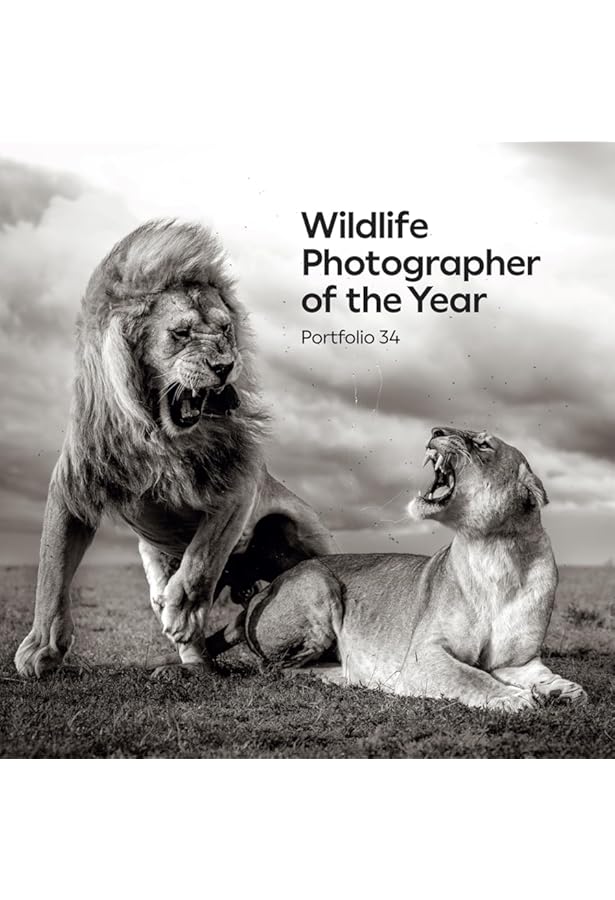60 Years of Wildlife Photographer of the Year: How Wildlife