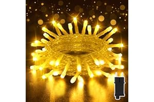 Isisyu Lichterkette Außen Timer 10M 100LED Lichterkette Außen Weihnachten Strom mit Speicherfunktion, Wasserdicht 8 Modi Warmweiß Weihnachtsbeleuchtung für Außen Innen Garten Balkon Weihnachten Party