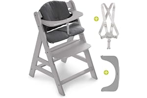 hauck Seggiolone Alpha Plus - Seggiolone Pappa in Legno Evolutivo con Imbracatura a 5 punti, Barra di Protezione e Cuscino Premium - (Grigio/Charcoal)
